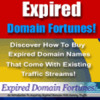 Thumbnail Expired Domain Fortunes! - Aquire Expired Domains 
